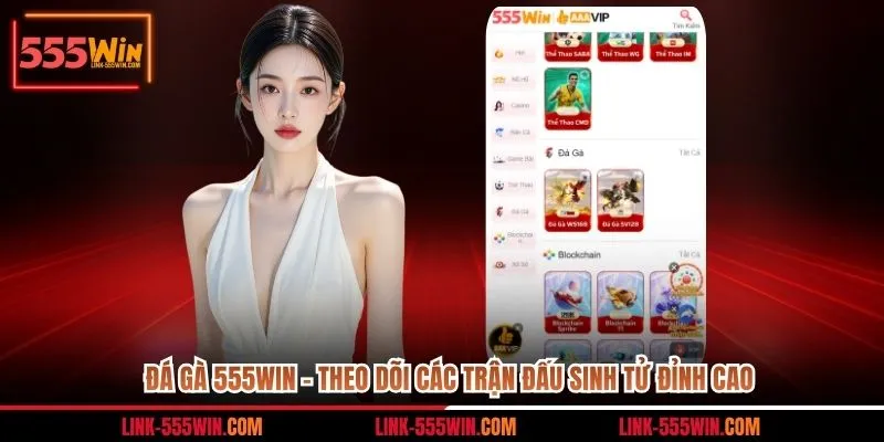đá gà 555win